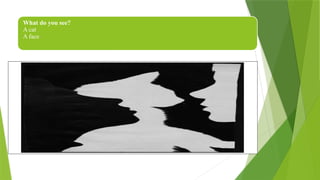 What do you see?
A cat
A face
 