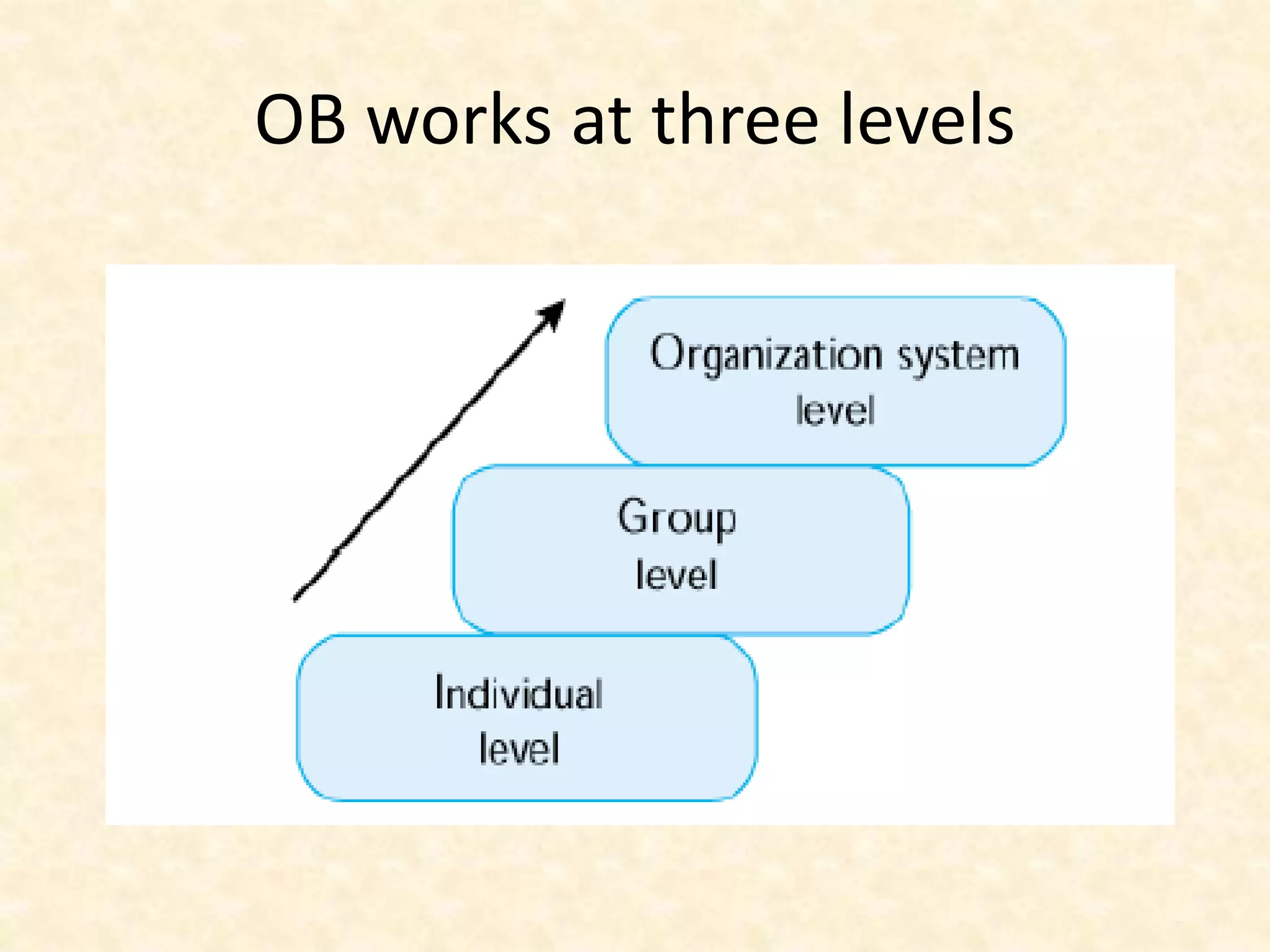 OB works at three levels
 
