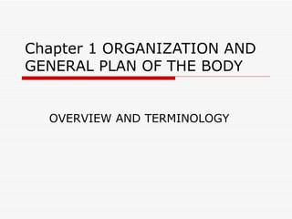 Chapter 1 ORGANIZATION AND
GENERAL PLAN OF THE BODY


  OVERVIEW AND TERMINOLOGY
 