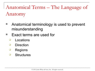 Chapter 1 organization of the human body | PPT