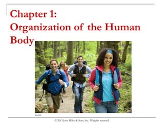 © 2013 John Wiley & Sons, Inc. All rights reserved.
Chapter 1:
Organization of the Human
Body
 