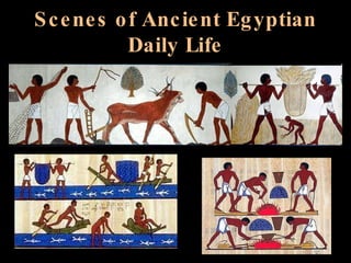 Scenes of Ancient Egyptian Daily Life 
