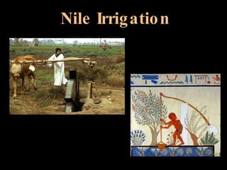 Nile Irrigation 
