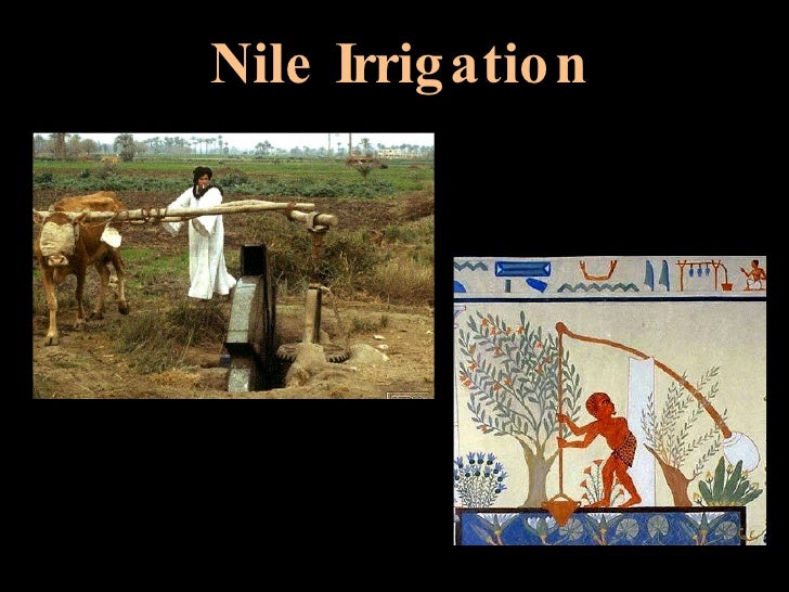 Nile Irrigation Ancient Egypt