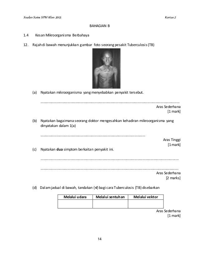 Chapter 1 paper 2 edit