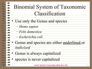 Binomial System of Taxonomic
         Classification
• Use only the Genus and species
  – Homo sapien
  – Felis domestica
  – Escherichia coli
• Genus and species are either underlined or
  italicized
• Genus is always capitalized
• species is never capitalized
              LUDY MAE B. NALZARO, BSM, RN, MN   13
 