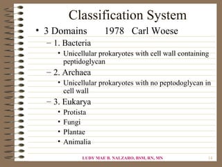 Classification System
• 3 Domains           1978 Carl Woese
  – 1. Bacteria
     • Unicellular prokaryotes with cell wall containing
       peptidoglycan
  – 2. Archaea
     • Unicellular prokaryotes with no peptodoglycan in
       cell wall
  – 3. Eukarya
     •   Protista
     •   Fungi
     •   Plantae
     •   Animalia

              LUDY MAE B. NALZARO, BSM, RN, MN         14
 
