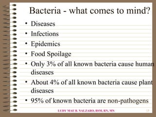 Bacteria - what comes to mind?
• Diseases
• Infections
• Epidemics
• Food Spoilage
• Only 3% of all known bacteria cause human
  diseases
• About 4% of all known bacteria cause plant
  diseases
• 95% of known bacteria are non-pathogens
           LUDY MAE B. NALZARO, BSM, RN, MN   15
 