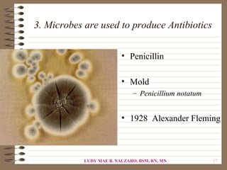 3. Microbes are used to produce Antibiotics


                          • Penicillin

                          • Mold
                              – Penicillium notatum


                          • 1928 Alexander Fleming



            LUDY MAE B. NALZARO, BSM, RN, MN          17
 