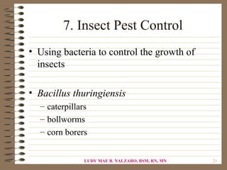 7. Insect Pest Control
• Using bacteria to control the growth of
  insects

• Bacillus thuringiensis
  – caterpillars
  – bollworms
  – corn borers


               LUDY MAE B. NALZARO, BSM, RN, MN   21
 