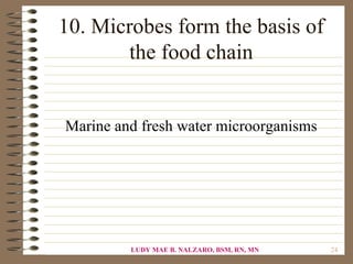 10. Microbes form the basis of
        the food chain


Marine and fresh water microorganisms




         LUDY MAE B. NALZARO, BSM, RN, MN   24
 