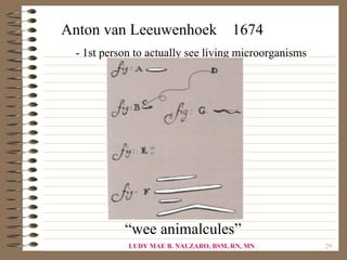 Anton van Leeuwenhoek                 1674
 - 1st person to actually see living microorganisms




           “wee animalcules”
            LUDY MAE B. NALZARO, BSM, RN, MN          29
 