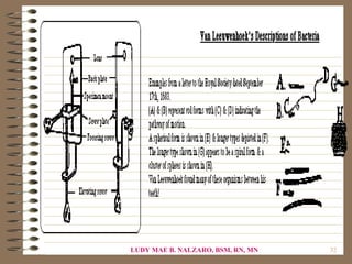 LUDY MAE B. NALZARO, BSM, RN, MN   32
 