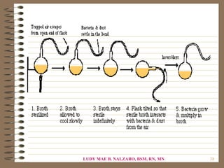 LUDY MAE B. NALZARO, BSM, RN, MN   38
 