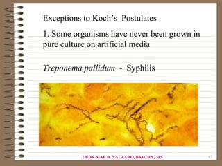 Exceptions to Koch’s Postulates
1. Some organisms have never been grown in
pure culture on artificial media

Treponema pallidum - Syphilis




          LUDY MAE B. NALZARO, BSM, RN, MN   47
 