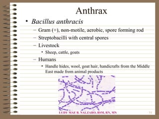 Anthrax
• Bacillus anthracis
  – Gram (+), non-motile, aerobic, spore forming rod
  – Streptobacilli with central spores
  – Livestock
     • Sheep, cattle, goats
  – Humans
     • Handle hides, wool, goat hair, handicrafts from the Middle
       East made from animal products




               LUDY MAE B. NALZARO, BSM, RN, MN                 51
 