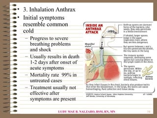• 3. Inhalation Anthrax
• Initial symptoms
  resemble common
  cold
   – Progress to severe
     breathing problems
     and shock
   – Usually results in death
     1-2 days after onset of
     acute symptoms
   – Mortality rate 99% in
     untreated cases
   – Treatment usually not
     effective after
     symptoms are present

                  LUDY MAE B. NALZARO, BSM, RN, MN   54
 