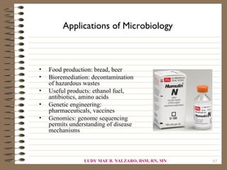Applications of Microbiology



•   Food production: bread, beer
•   Bioremediation: decontamination
    of hazardous wastes
•   Useful products: ethanol fuel,
    antibiotics, amino acids
•   Genetic engineering:
    pharmaceuticals, vaccines
•   Genomics: genome sequencing
    permits understanding of disease
    mechanisms



                 LUDY MAE B. NALZARO, BSM, RN, MN   63
 