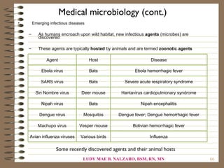 Medical microbiology (cont.)
•       Emerging infectious diseases

    –      As humans encroach upon wild habitat, new infectious agents (microbes) are
           discovered

    –      These agents are typically hosted by animals and are termed zoonotic agents

               Agent                   Host                       Disease

             Ebola virus               Bats               Ebola hemorrhagic fever

            SARS virus                 Bats          Severe acute respiratory syndrome

         Sin Nombre virus         Deer mouse       Hantavirus cardiopulmonary syndrome

            Nipah virus                Bats                  Nipah encephalitis

           Dengue virus            Mosquitos      Dengue fever; Dengue hemorrhagic fever

           Machupo virus         Vesper mouse            Bolivian hemorrhagic fever

    Avian influenza viruses       Various birds                  Influenza

                    Some recently discovered agents and their animal hosts
                                   LUDY MAE B. NALZARO, BSM, RN, MN                        66
 