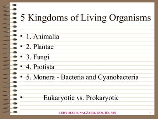 5 Kingdoms of Living Organisms
•   1. Animalia
•   2. Plantae
•   3. Fungi
•   4. Protista
•   5. Monera - Bacteria and Cyanobacteria

•        Eukaryotic vs. Prokaryotic
               LUDY MAE B. NALZARO, BSM, RN, MN   9
 