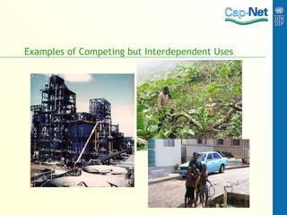Examples of Competing but Interdependent Uses 