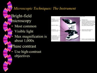 Bright-field microscopy Most common Visible light Max magnification is about 1,000x Phase contrast Use high-contrast objectives 3.1 Microscopic Techniques: The Instrument 