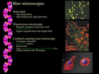 Other microscopes Dark-field side illumination dark background, light specimen Fluorescence microscope Requires staining of specimen with  fluorescent dye Higher magnification than bright field Confocal scanning laser microscope Computer controlled Laser light  source Fluorescent Can  sequentially image multiple planes  of a sample and provide 3D images 