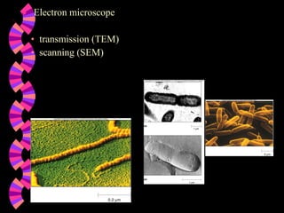Electron microscope transmission (TEM) scanning (SEM) 