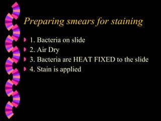 Preparing smears for staining 1. Bacteria on slide 2. Air Dry 3. Bacteria are HEAT FIXED to the slide 4. Stain is applied 