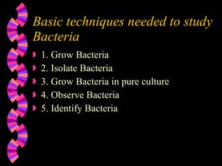 Basic techniques needed to study Bacteria 1. Grow Bacteria 2. Isolate Bacteria 3. Grow Bacteria in pure culture 4. Observe Bacteria  5. Identify Bacteria 