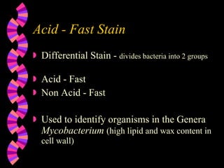 Acid - Fast Stain Differential Stain -  divides bacteria into 2 groups Acid - Fast Non Acid - Fast Used to identify organisms in the Genera  Mycobacterium   (high lipid and wax content in cell wall) 