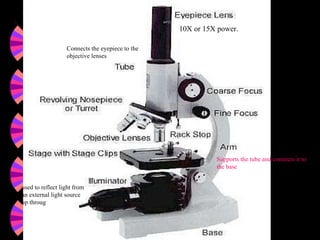 10X or 15X power.   Connects the eyepiece to the objective lenses  Supports the tube and connects it to the base  used to reflect light from an external light source up throug  