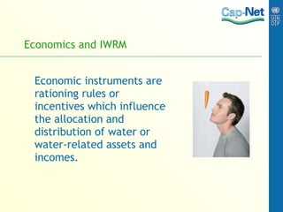 Economics and IWRM Economic instruments are rationing rules or incentives which influence the allocation and distribution of water or water-related assets and incomes. 