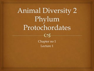 Chapter no 1
Lecture 1
 