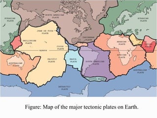 Figure: Map of the major tectonic plates on Earth.
 