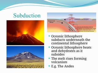 Oceanic lithosphere
subducts underneath the
continental lithosphere
 Oceanic lithosphere heats
and dehydrates as it
subsides
 The melt rises forming
volcanism
 E.g. The Andes
Subduction
 