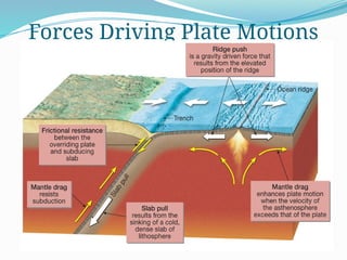Forces Driving Plate Motions
 