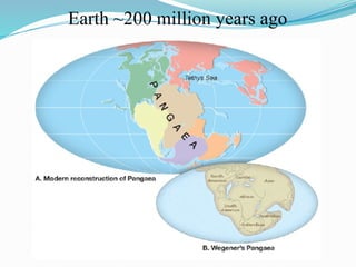 Earth ~200 million years ago
 
