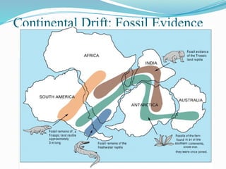 Continental Drift: Fossil Evidence
 