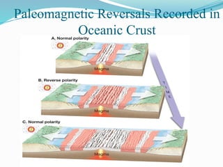Paleomagnetic Reversals Recorded in
Oceanic Crust
 