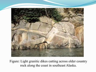 Figure: Light granitic dikes cutting across older country
rock along the coast in southeast Alaska.
 
