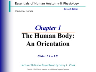 Essentials of Human Anatomy & Physiology
Copyright © 2003 Pearson Education, Inc. publishing as Benjamin Cummings
Slides 1.1 – 1.8
Seventh Edition
Elaine N. Marieb
Chapter 1
The Human Body:
An Orientation
Lecture Slides in PowerPoint by Jerry L. Cook
 
