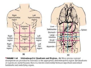 Left Submentrum Chapter_1_ppt.ppt