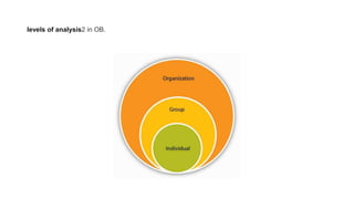 levels of analysis2 in OB.
 