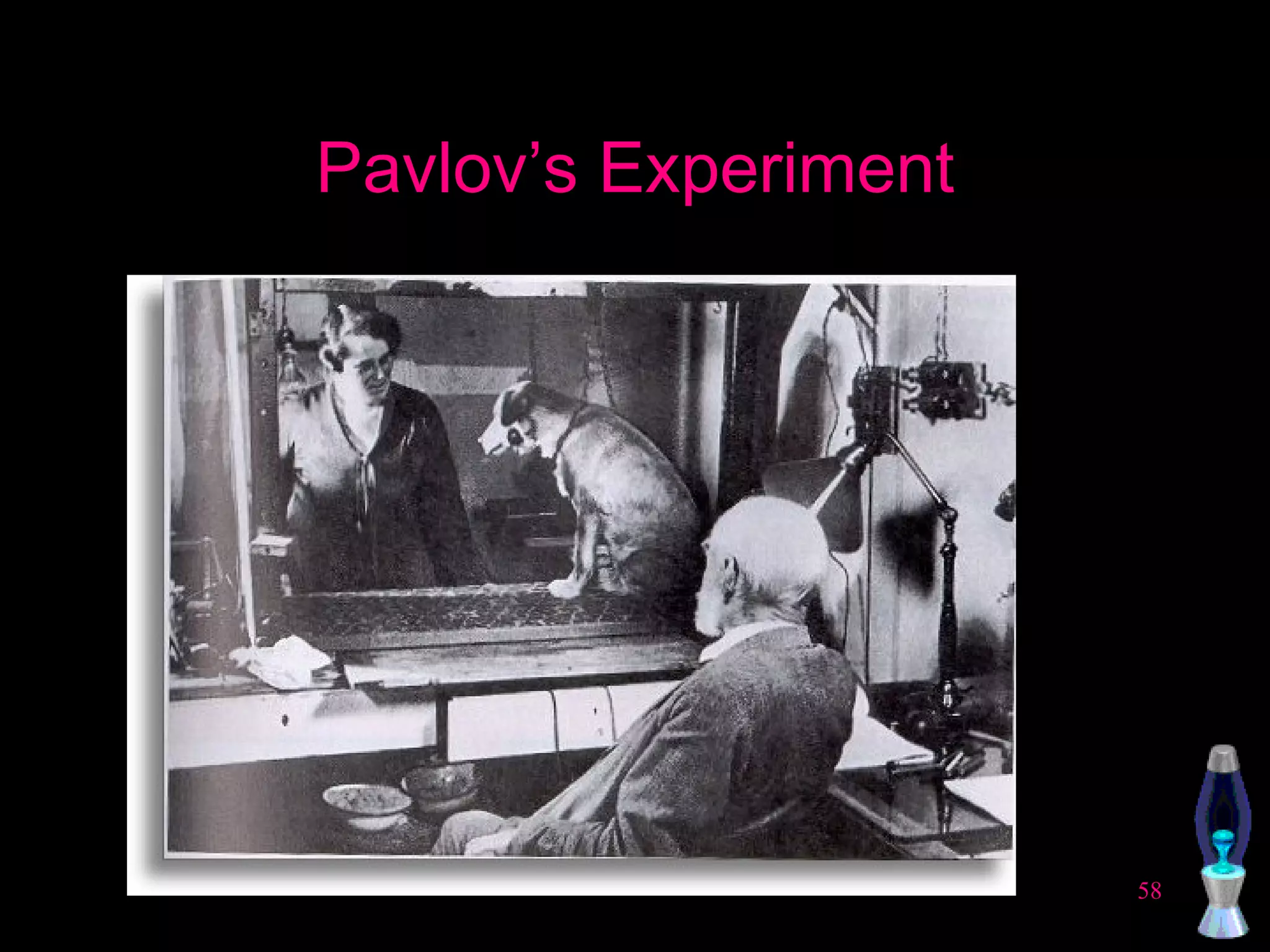 Pavlov’s Experiment 