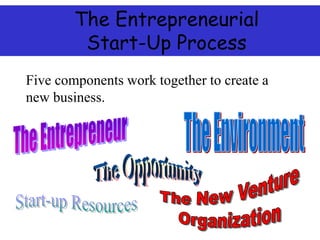 The Entrepreneurial
Start-Up Process
Five components work together to create a
new business.
 