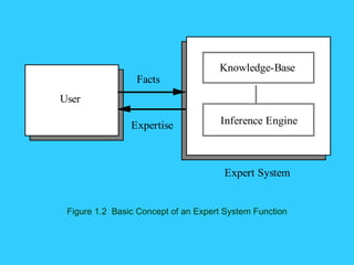 Figure 1.2  Basic Concept of an Expert System Function 