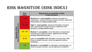 Comprehensive Guide to Risk Analysis and Management in Projects | PDF