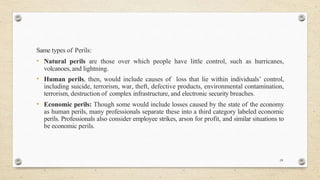 Perils Hum Chapter One - Project Risk Management Notes | PPTX