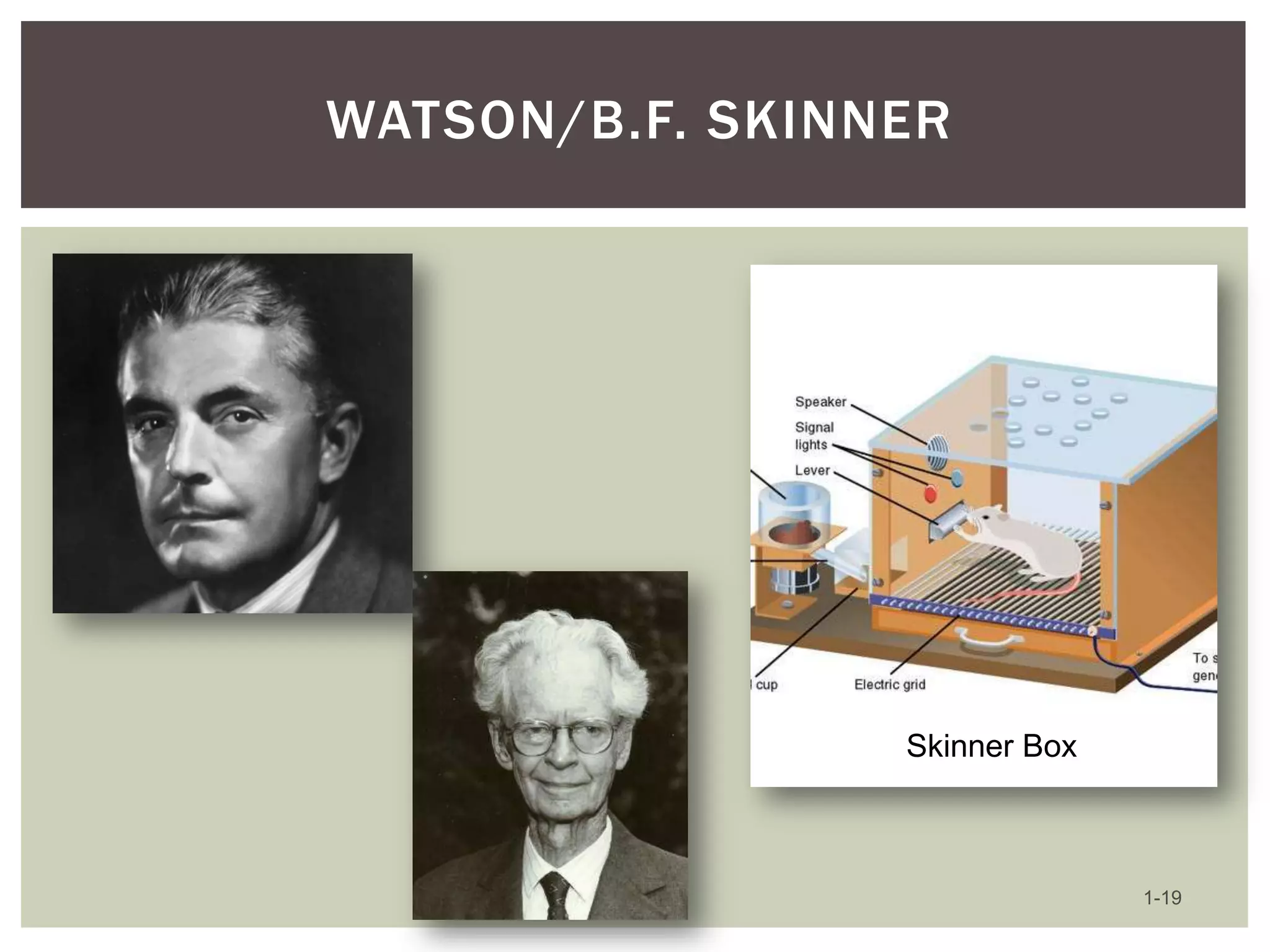 WATSON/B.F. SKINNER

Skinner Box

1-19

 